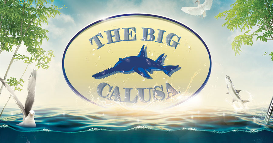 The Big Calusa